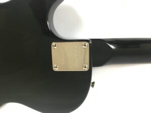 Epiphone Les Paul Special II