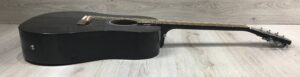 Epiphone Starling