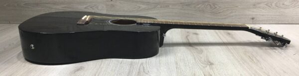 Epiphone Starling