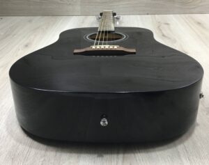 Epiphone Starling