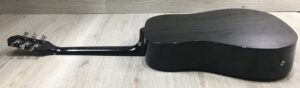 Epiphone Starling