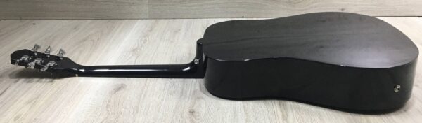 Epiphone Starling