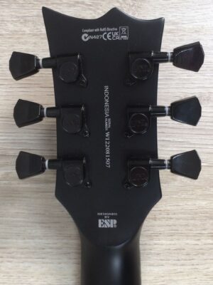 ESP LTD EC-256 black satin con custodia rigida