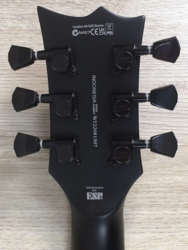 ESP LTD EC-256 black satin con custodia rigida