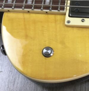 ESP LTD EC-256 FM LD + EMG 57/66 e Kill Switch