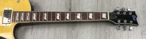 ESP LTD EC-256 FM LD + EMG 57/66 e Kill Switch