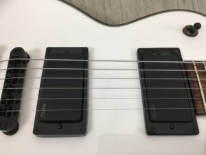 ESP LTD EC256 + EMG 60/60 Kirk Hammet