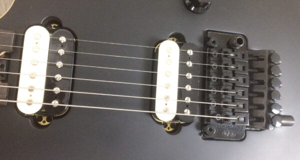 EVH Wolfgang Special Ebony Fingerboard Stealth Black