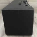 Fender Mustang V Head