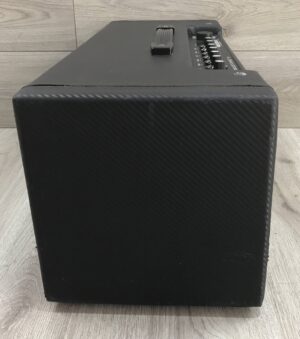 Fender Mustang V Head