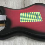 Fender Stratocaster Steve Lacy People Chaos