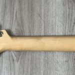 Fender Stratocaster Steve Lacy People Chaos
