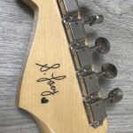Fender Stratocaster Steve Lacy People Chaos