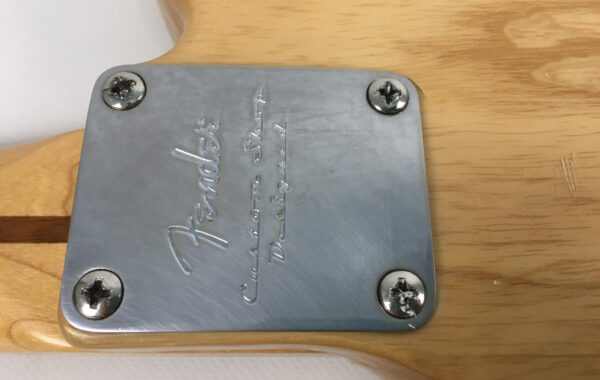 Fender Telecaster Baja Modded seriale MX12166953 con custodia