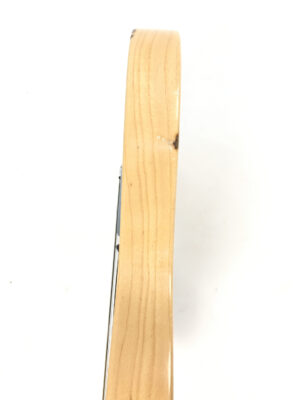 Fender Telecaster Baja Modded seriale MX12166953 con custodia