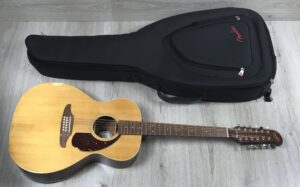 Fender Villager XII