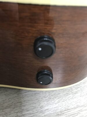 Fender Villager XII