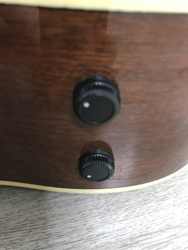 Fender Villager XII