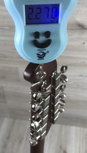 Fender Villager XII