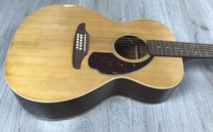 Fender Villager XII