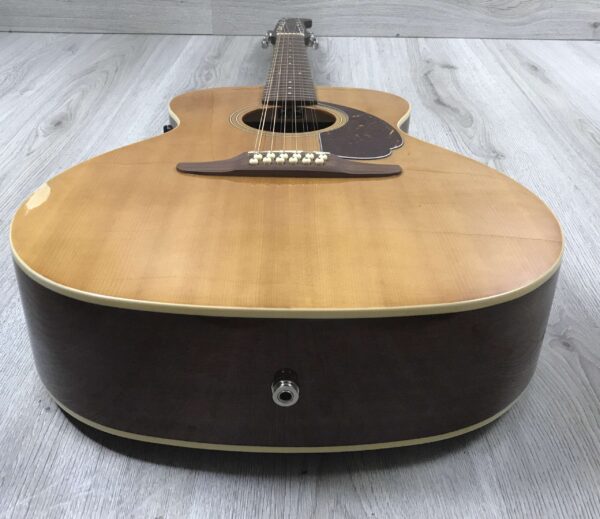 Fender Villager XII