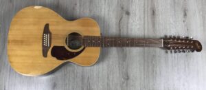Fender Villager XII