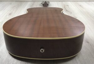 Fender Villager XII