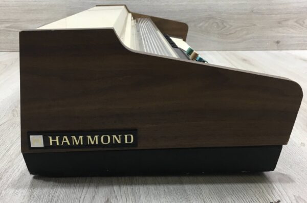 Hammond 102200