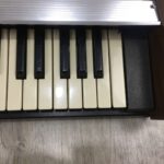 Hammond 102200
