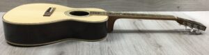 Harley Benton CLF 200 NT