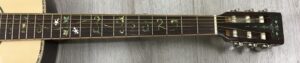Harley Benton CLF 200 NT