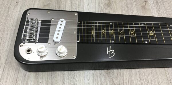 Harley Benton slider 2