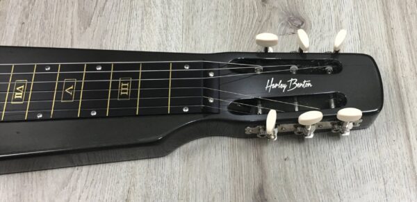 Harley Benton slider 2