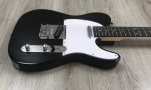Harley Benton TE-20