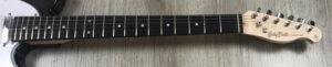 Harley Benton TE-20