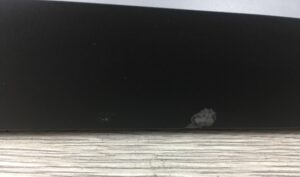 Headrush expression pedal