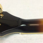 Ibanez AS 153 AYS Antique Yellow Sunburst
