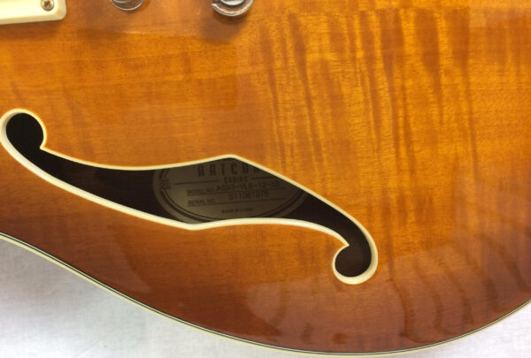 Ibanez AS93 VLS