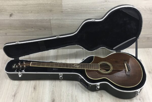 Ibanez  EWB205WNENT Basso Acustico 5 corde