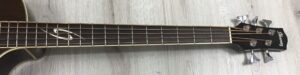 Ibanez  EWB205WNENT Basso Acustico 5 corde
