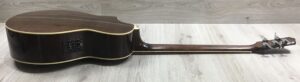 Ibanez  EWB205WNENT Basso Acustico 5 corde