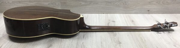 Ibanez  EWB205WNENT Basso Acustico 5 corde