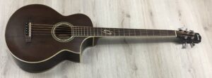 Ibanez  EWB205WNENT Basso Acustico 5 corde