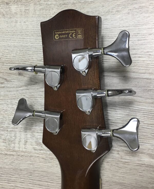 Ibanez  EWB205WNENT Basso Acustico 5 corde