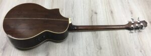 Ibanez  EWB205WNENT Basso Acustico 5 corde