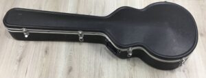 Ibanez  EWB205WNENT Basso Acustico 5 corde