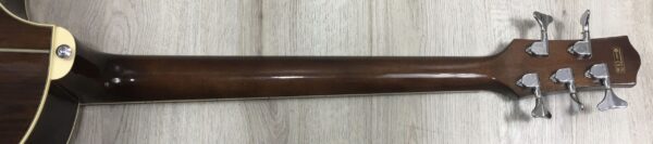 Ibanez  EWB205WNENT Basso Acustico 5 corde