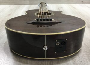 Ibanez  EWB205WNENT Basso Acustico 5 corde