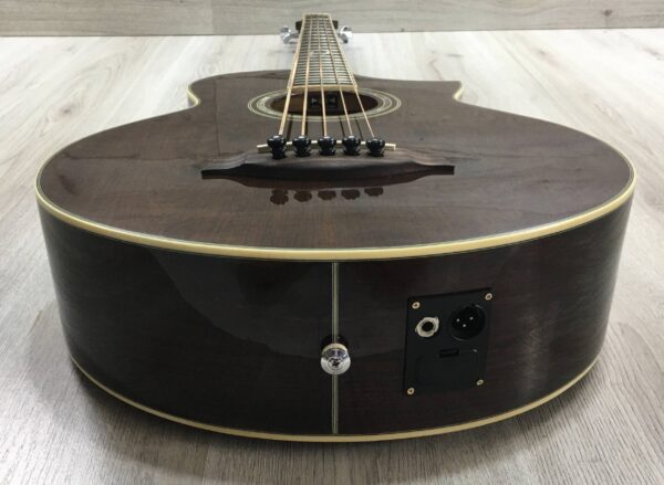 Ibanez  EWB205WNENT Basso Acustico 5 corde