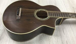 Ibanez  EWB205WNENT Basso Acustico 5 corde